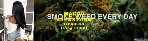стаф Арсеньев