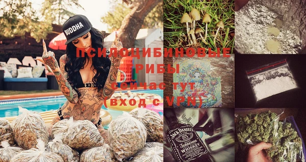 гидра Аркадак