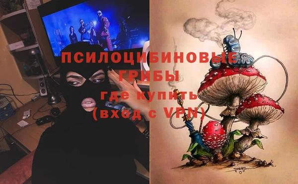 гидра Аркадак