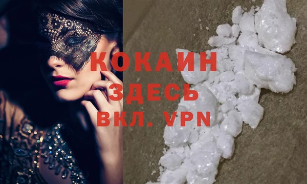 гидра Аркадак