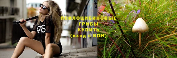 стаф Арсеньев