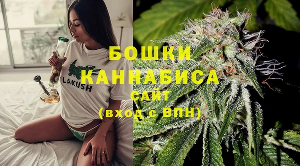 гидра Аркадак