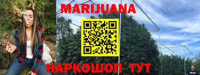 jwh Майкоп