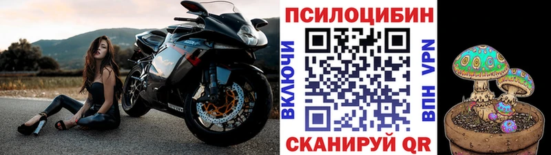 Псилоцибиновые грибы Magic Shrooms  Барабинск 