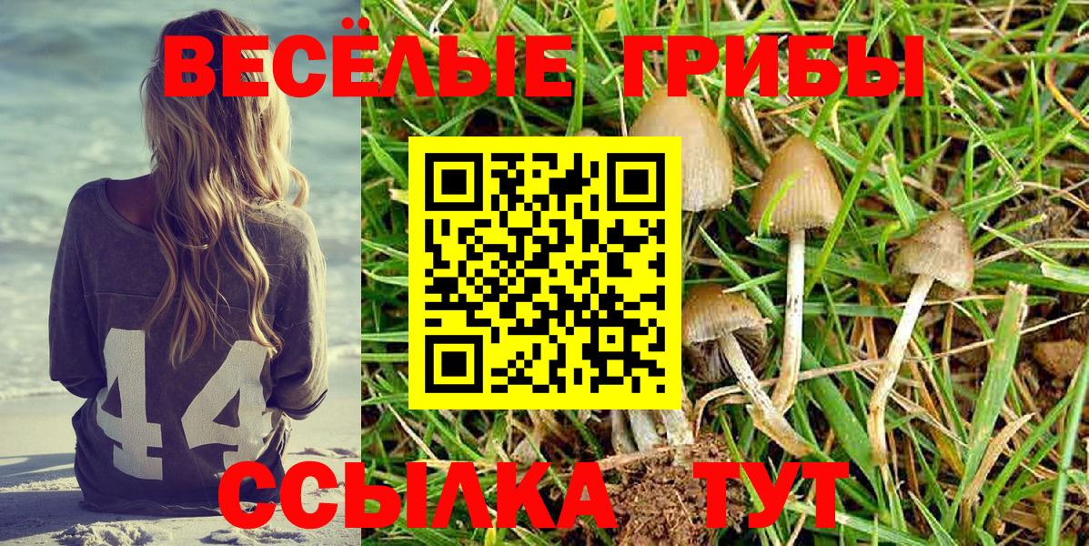 Псилоцибиновые грибы Cubensis  Псилоцибиновые грибы прущие грибы  купить наркотики сайты  Вход с VPN  Барабинск 