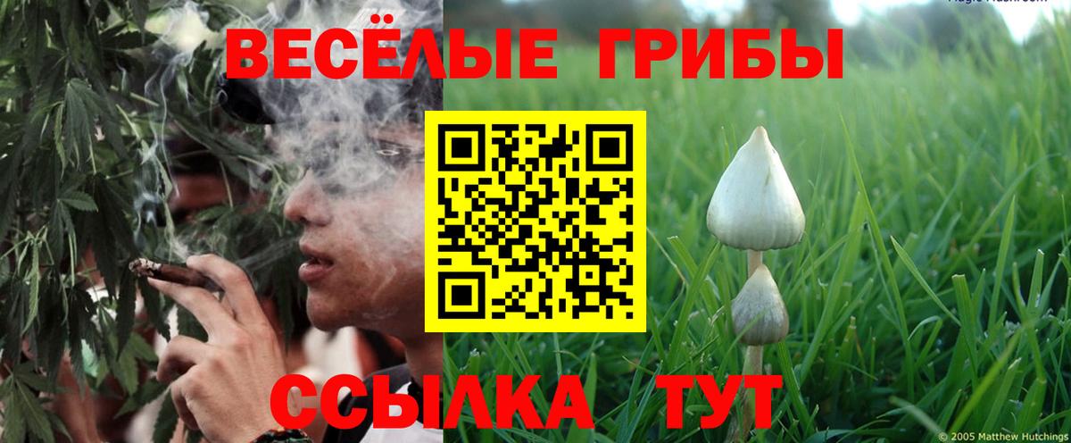 Псилоцибиновые грибы прущие грибы Барабинск